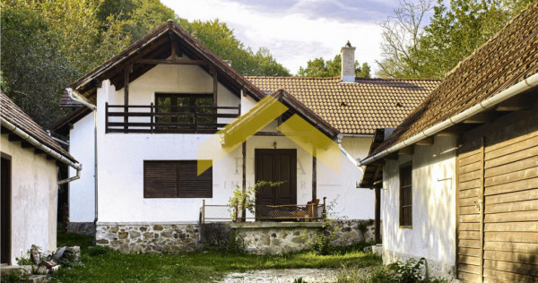 Casa cu padure de in Savarsini