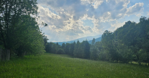 TEREN DE VANZARE APROAPE DE PADURE