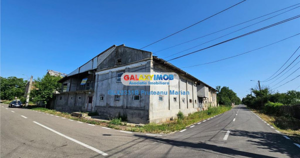 Moara cu spatii Industriale situate in comuna Daia jud Giur