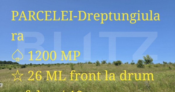 Teren intravilan construibil in Salicea