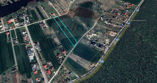 Teren intravilan, 3916 mp, dubla deschidere, Vladisceasca