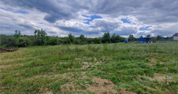 RECO teren intravilan Saldabagiu de Munte