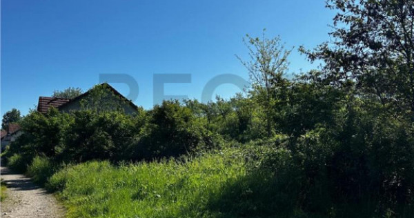 Reco Teren intravilan Beius