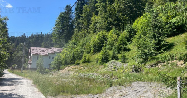 IDEAL INVESTITIE TEREN PREDEAL, 1936 mp intravilan, toate ut