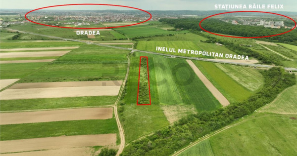 RECO Teren intravilan in Cordau zona- inelul Metropolitan