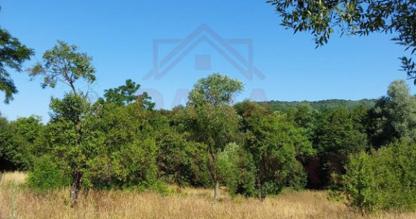 TEREN INTRAVILAN ZĂVOI\ZONA VALEA BISTREI, JUD.C-S