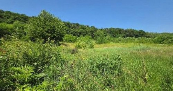 Teren Duda Epureni, ID: R2609594