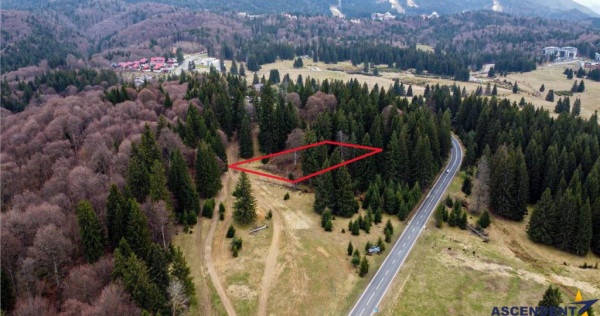 Teren cu potential:1.000 mp,proiect turistic rezidential,Poi