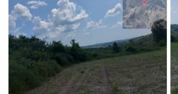 Teren extravilan loc. , Jud Gorj