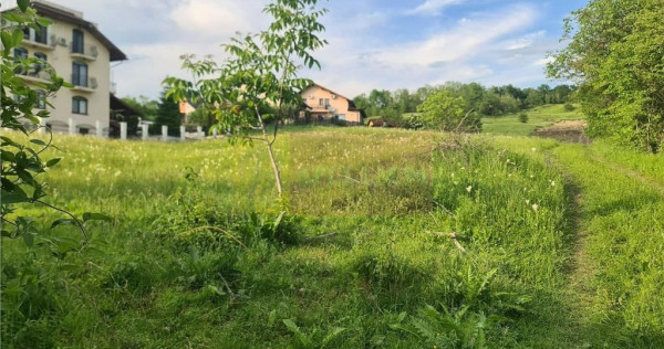 Teren intravilan de vanzare in Campina - Zona Muscel