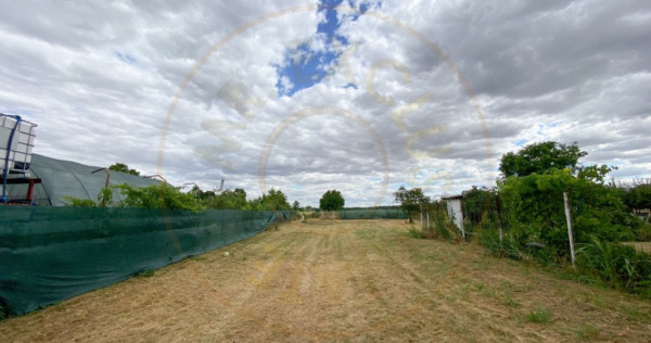 Teren intravilan 1412 mp, Ciofliceni – Ilfov