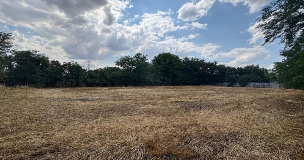 Teren intravilan 2580 mp - Hagiesti