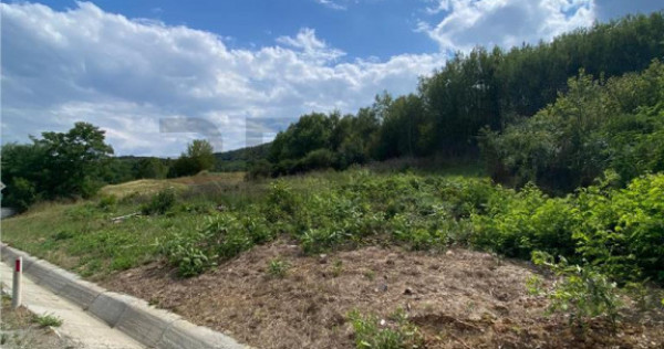 RECO Teren Extravilan Bratesti