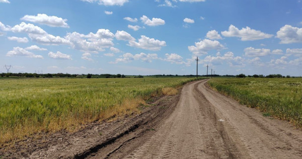 Frumusani Postavari 30 minute de Aparatorii Patriei super...