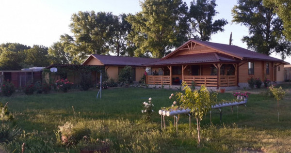 HORIA - 3 CAMERE ,SUPRAFATA 100 MP,TEREN 3000 MP CU DESCHIDE