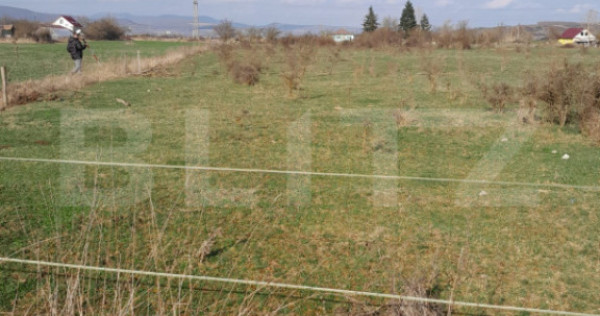 Teren intravilan 5000 mp, investiție &icirc;ntr-o zonă &icirc;n dezv