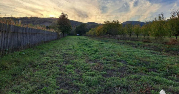 Teren de / Maneciu Pamanteni