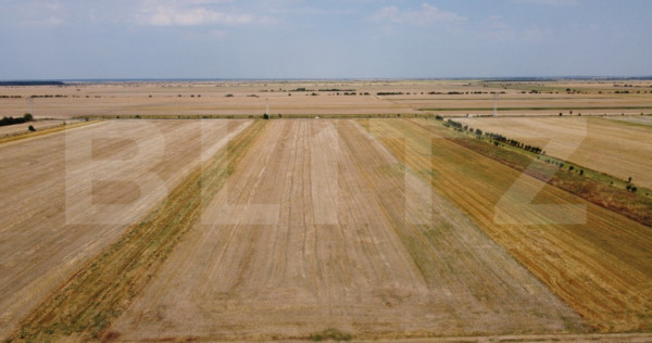 Teren Intravilan, de vanzare, 7500 mp, zona Mircea Voda