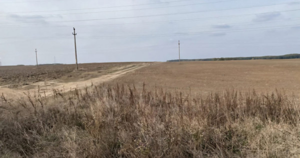 Teren extravilan 5000mp, Malu Mare, 0 comision la cumparator