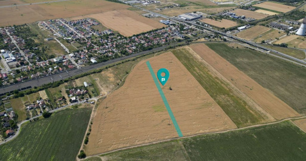 Tern intrevilan 4003 mp