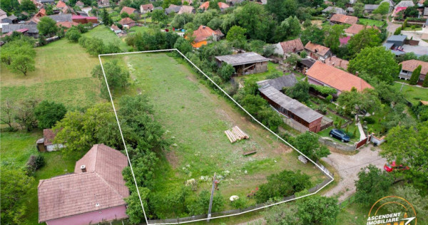 Film! 2.700 mp:refugiu al linistii si oportunitatii imobilia