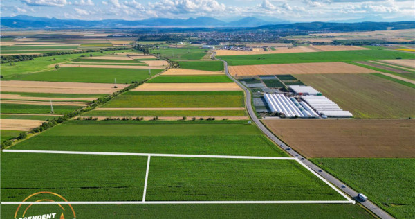 FILM! 30.200 mp teren intravilan,recomandat: investitie expl