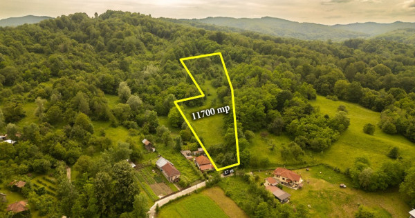 Teren 11700 mp în Valea Lungă, o oază de liniște, aer curat, verdeață