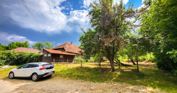 Teren 11700 mp în Valea Lungă, o oază de liniște, aer curat, verdeață