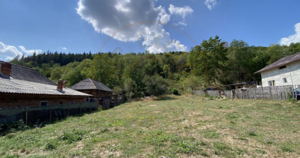Teren 4000 mp intravilan loc. Aninoasa, jud Arges. Comision