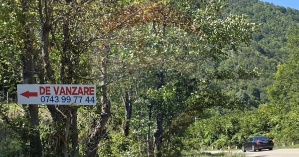 Teren 4,000mp Pascoaia / Soseaua Punctul Chiliilor