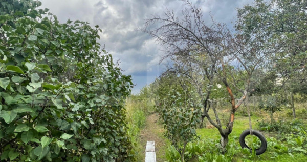 Casa si teren de 2368 mp , Zona Calea Bucuresti