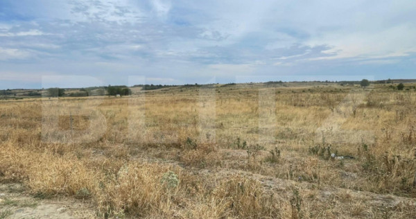 Oportunitate excelentă de investiție în zonă în dezvolt