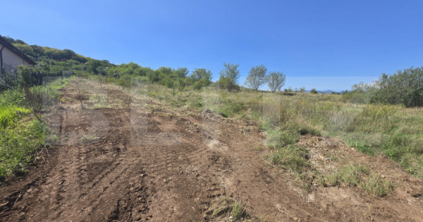 Teren intravilan, 1402 mp, zona Micesti
