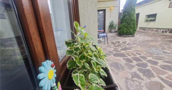 Proprietate cu 3 corpuri, curte individula, potential regim