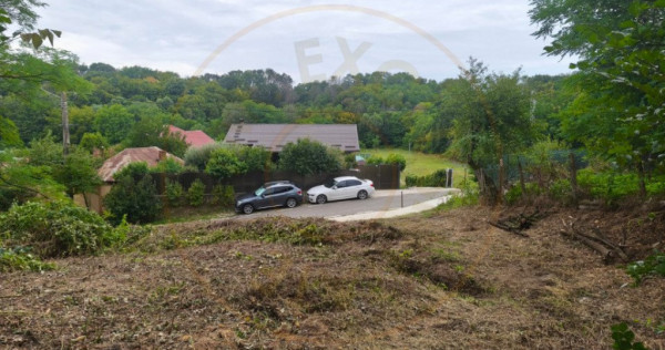 Teren intravilan Mosoaia - Hintesti