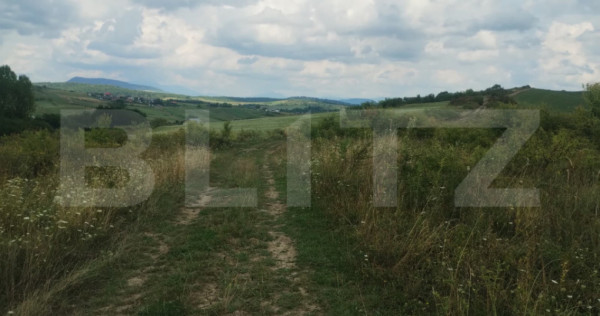 Teren extravilan, 51 ari,zona Sigmir