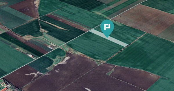 Teren 30.000 mp cu acces asfaltat – Peciu Nou