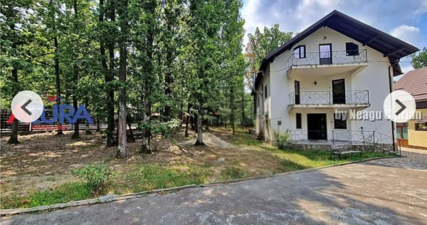 Casă de vacanță în pădure, 10 km de Pitești - Babana