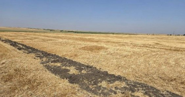 Teren extravilan Zimnicea cota parte 1/6 ID: R2688418