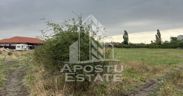 Parcela 707 mp in Sacalaz langa cartierul Primaverii