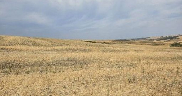 Teren Negureni, cota parte 1/8, ID: R2695094