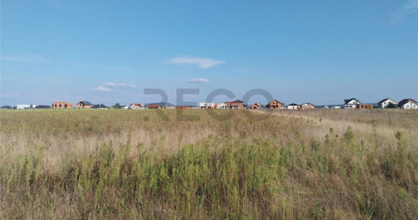 RECO Teren Cihei 504mp