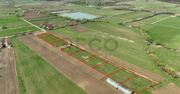 RECO, teren intravilan, Ineu,Bihor