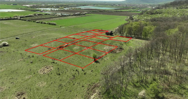 RECO , teren intravilan, Ineu,Bihor