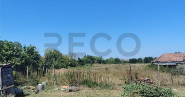 RECO Teren intravilan in Paleu la doar 22euro/mp