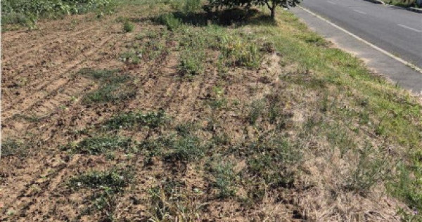 Reco Teren Extravilan Episcopia aproape de Remarkt