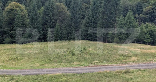 Teren intravilan de vânzare în Colibița – oportunitate