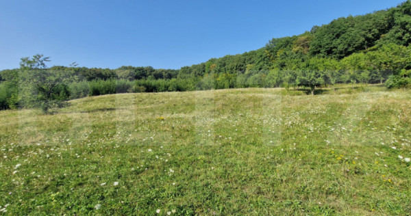 Teren de vanzare, 1Ha in apropiere de cartierul RAAL
