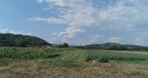 Cota de 1/2 din teren 2356 mp Com. Mihaesti, jud Valcea