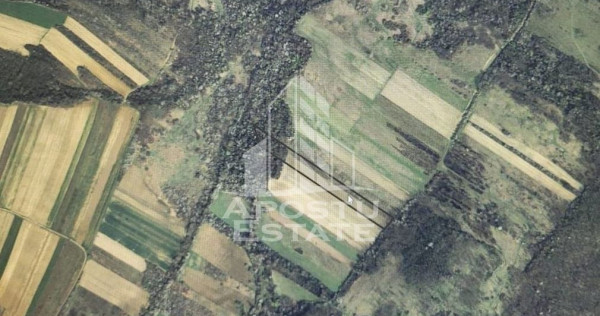 Teren mixt de 10.000 mp, ideal pentru investitie, Barsa